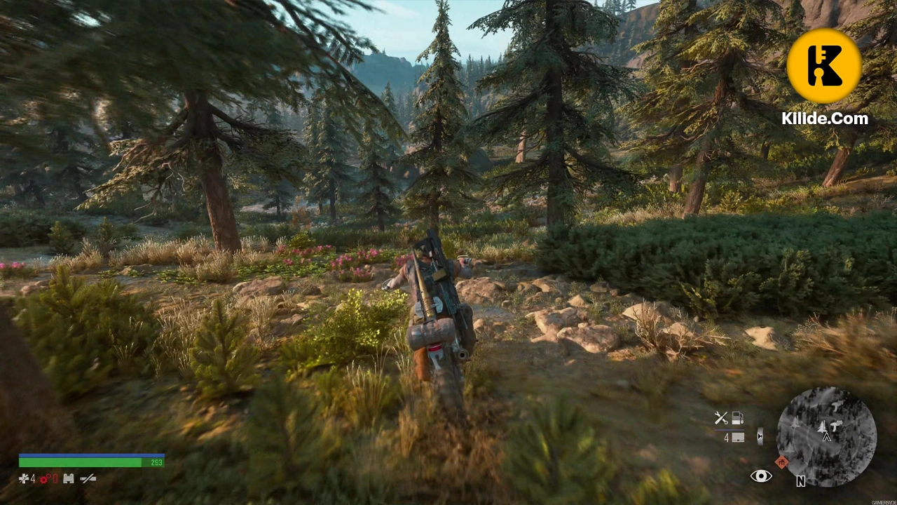 دانلود بازی Days Gone